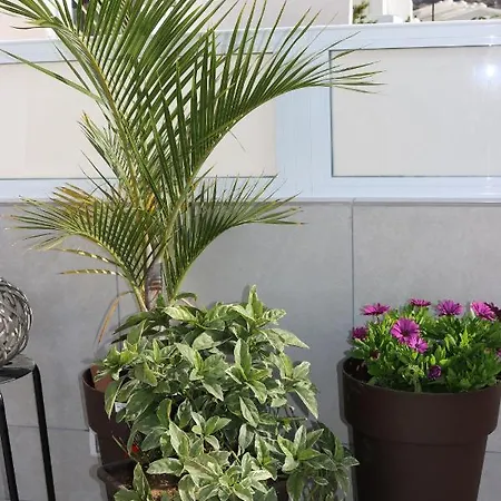Appartement Big Sun Terrace Renovated 2-bedroom Luxury Duplex Mogán